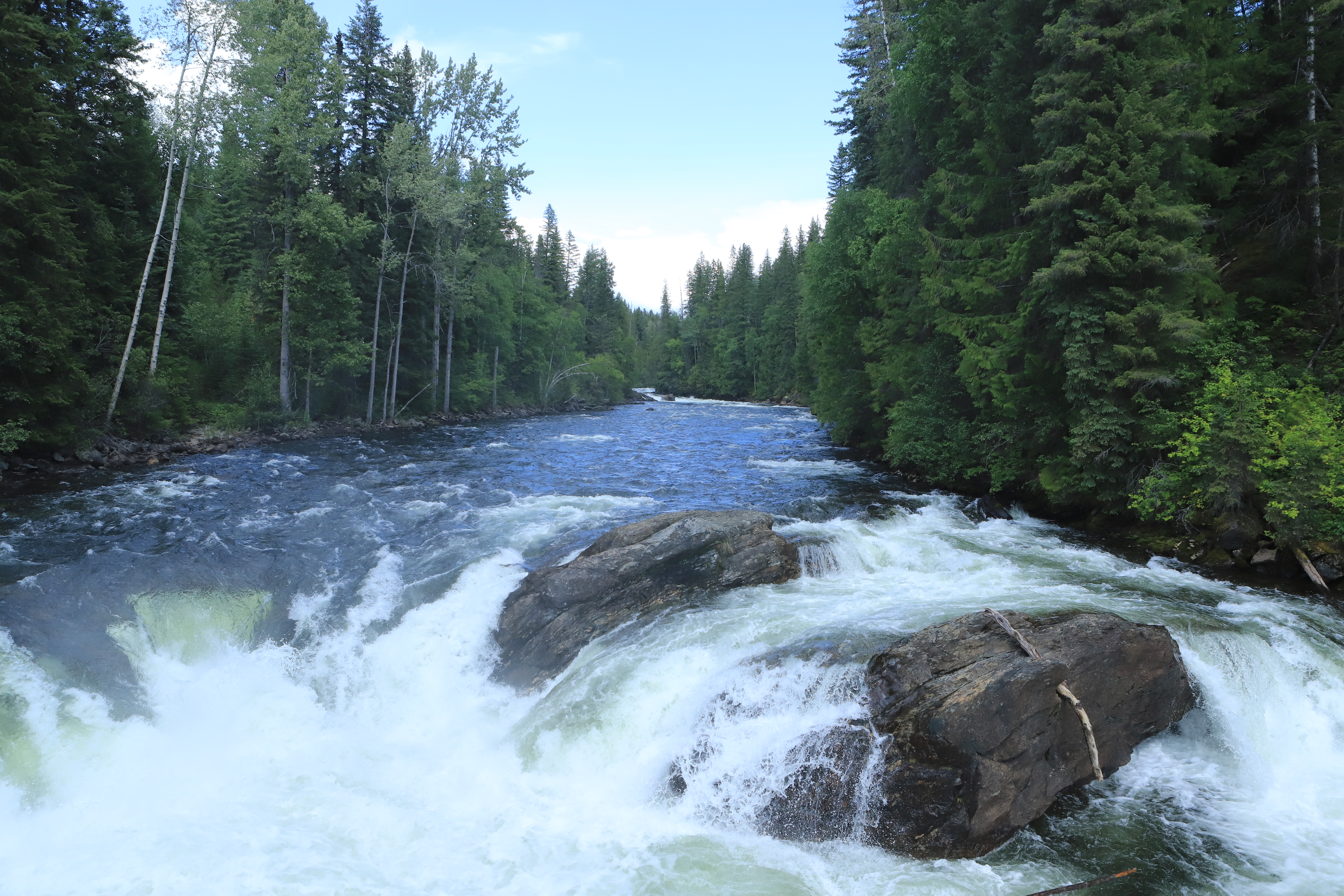 ^Kanada, Murtle River im Wells Grey NP ©HorstReitz2019