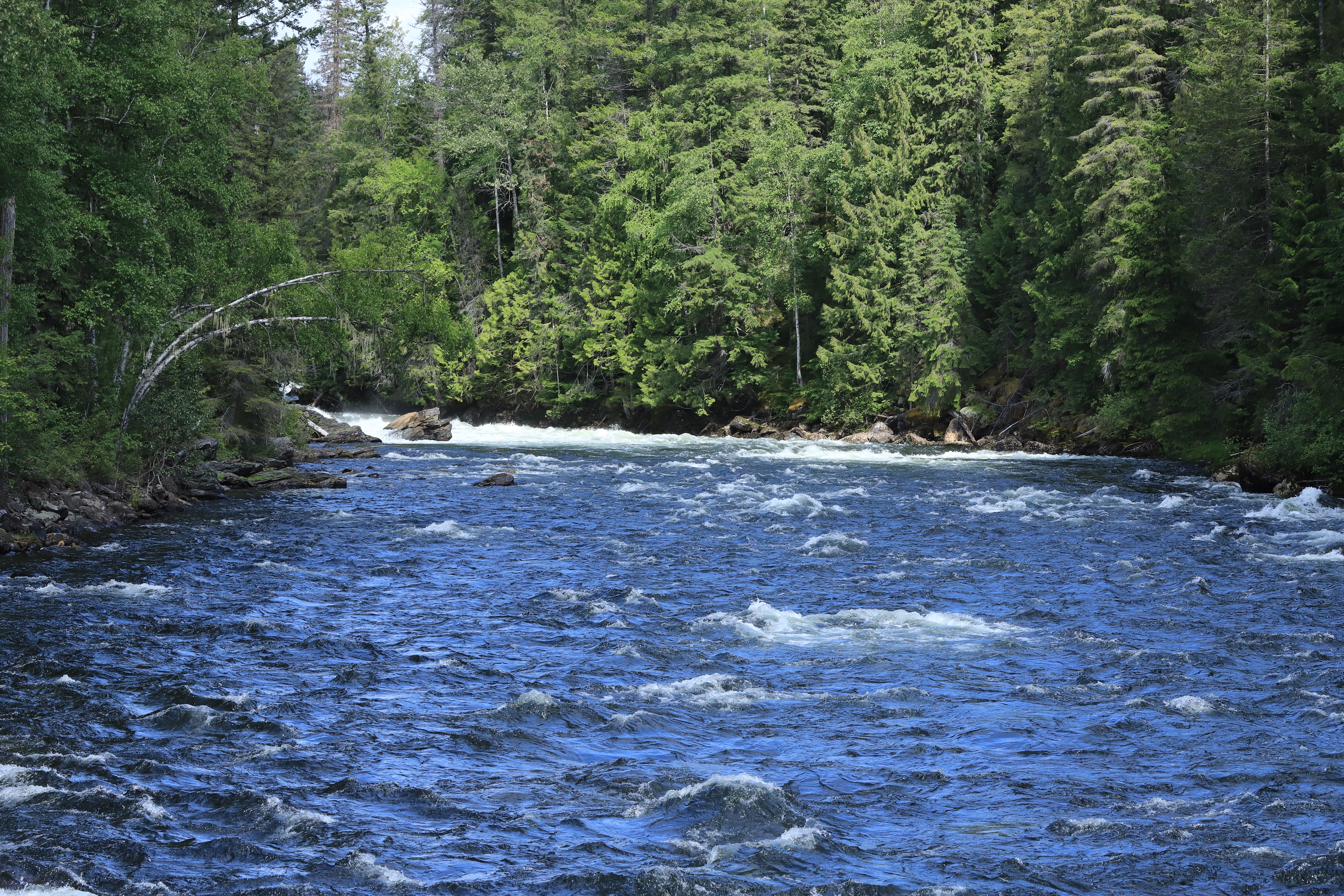 Kanada, Murtle River im Wells Grey NP ©HorstReitz2019